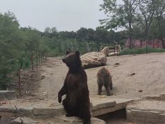 -沈阳森林动物园