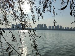 -艾溪湖湿地公园