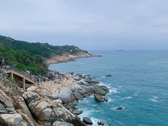 -广东惠东海龟国家级自然保护区