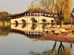 -长广溪湿地公园