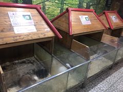 -上海大自然野生昆虫馆(东方明珠·爬宠昆虫探索中心)