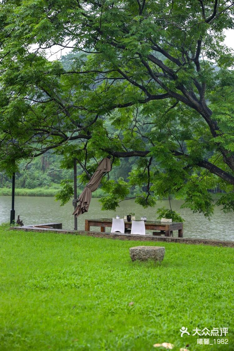 独自与自然的完美邂逅清新空气