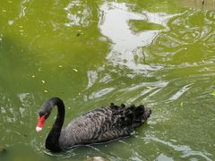 -济南野生动物世界