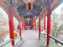 -兰山公园