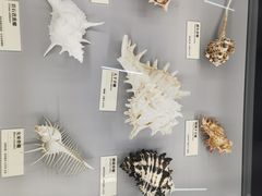 -天津古林古海岸遗迹博物馆