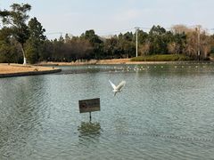 -上海佘山茂御臻品之选酒店(原佘山艾美酒店)