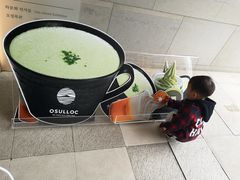 -雪绿茶博物馆