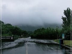 -习家池