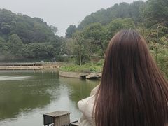 -广州市帽峰山景区