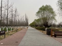 -汉长安城未央宫国家考古遗址公园