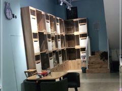 -老吴的猫·猫舍(新区店)