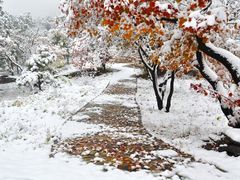-北京西山国家森林公园