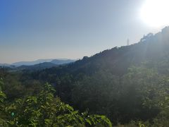 -白水寺森林公园