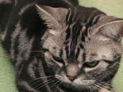 -藦茜花园宠物主题亲子互动体验馆(国顺东路店)