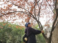 景点-西安青龙寺遗址景区