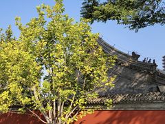 -西海子公园