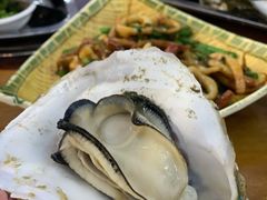 原只蒸生蚝-蚝得喜海鲜(东城店)