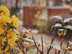 -万达广场(临港店)