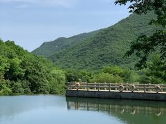 -龙道沟景区