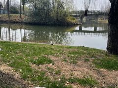 -尚贤河湿地