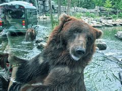 -北京野生动物园