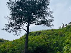 -萍乡武功山风景名胜区