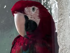 -石家庄市动物园