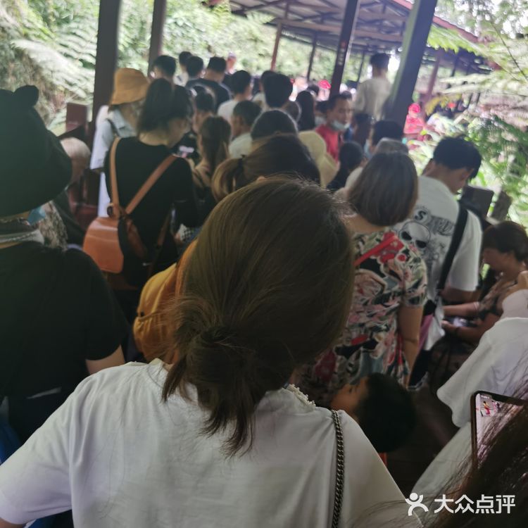 风景还是挺不错的，里面主要就是爬阶梯，因为时间原因