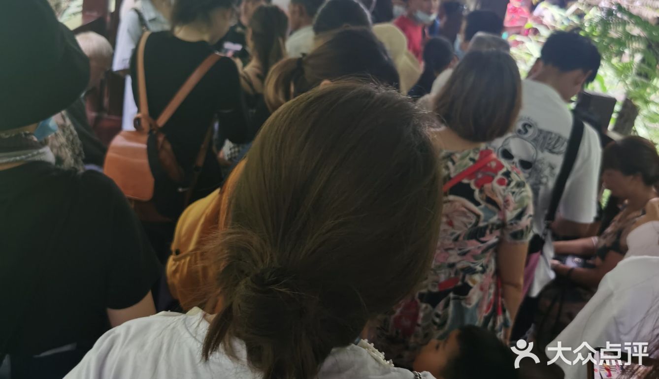 风景还是挺不错的，里面主要就是爬阶梯，因为时间原因