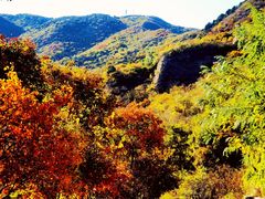 -北京西山国家森林公园