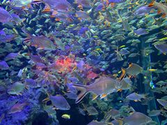 -成都浩海立方海洋公园