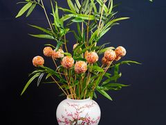 -岷山饭店-岷轩中餐厅