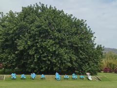 -三亚南山文化旅游区