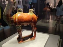 -贵州省博物馆(新馆)