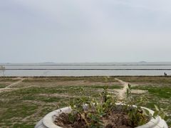 -合肥滨湖国家森林公园