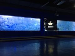 -重庆欢乐海底世界