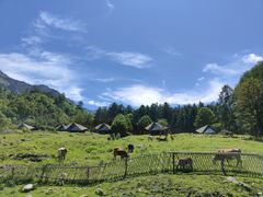 -硗碛藏寨·神木垒景区