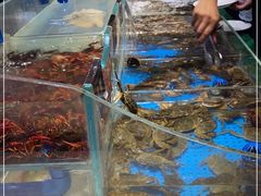 -加餐海鲜自助(集美银泰百货店)