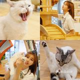 北京探店｜猫咪后院实现撸猫自由🐱