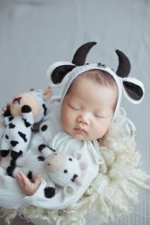 -哈喽BABY儿童摄影