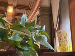 -八府香鸭·啫啫煲(华山路店)