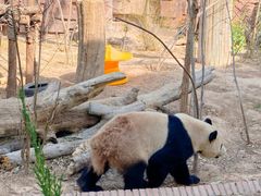 -五龙山野生动物王国