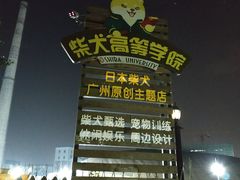 -柴犬高等学院·狗咖·柴犬售卖·宠物训练