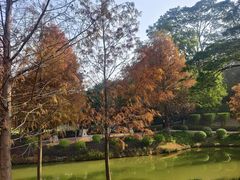 -中山市树木园