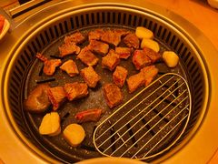 -黄金牧场(明洞总店)