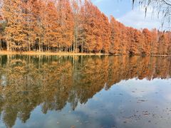 -上海海湾国家森林公园