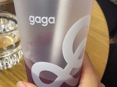 -gaga(深圳南山益田假日广场店)