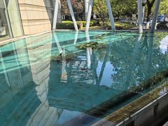 -南京国睿金陵大酒店