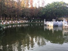 -珠海圆明新园
