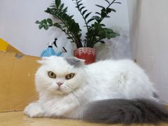 -拜鲁耶动物诊疗中心·宠家动物医院